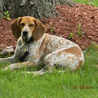 Deborah Elmore Photo 26