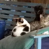 Julie Crawford Photo 15