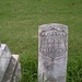 William Potts Photo 13