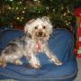 Mary Baxley Photo 7
