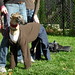 Lindsay O'Connor Photo 11