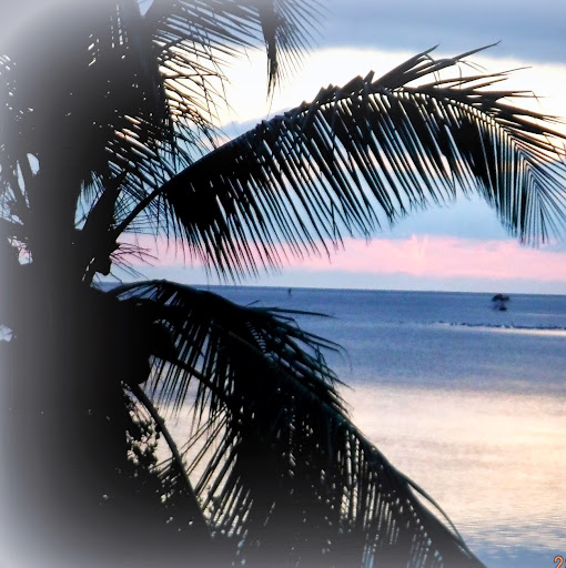 Teresa Parks Photo 15