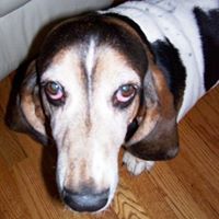 Christine Pawlak Photo 7