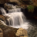 Shelly Westmoreland Photo 12