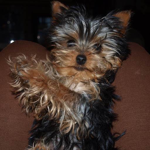 Robyn Summers Photo 14