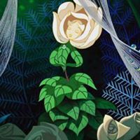 Megan Cotter Photo 9