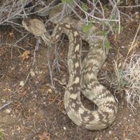 Eric Stout Photo 35 Eric Stout Photo 35