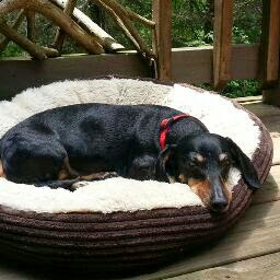 Charlene Osborne Photo 14