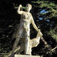 Kristine Stein Photo 14