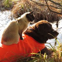 Kristin Thomson Photo 25