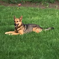 Richard Wolfe Photo 19 Richard Wolfe Photo 19