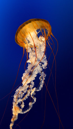 Christian Davila Photo 29