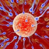 Stacy Andersen Photo 5