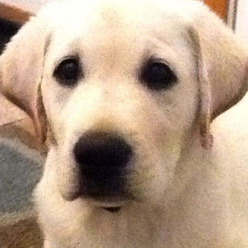 Donna Fisher Photo 5