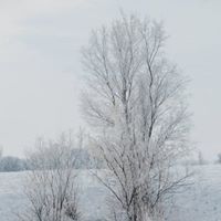 Ellen Watkins Photo 13