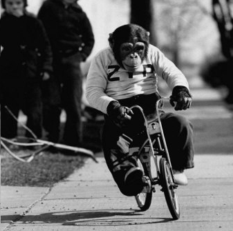 Paul Austin Photo 15 Paul Austin Photo 15