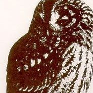 Kathleen Tanner Photo 10