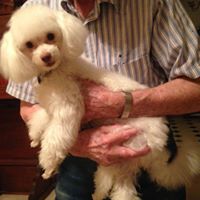 Barbara Chafin Photo 5