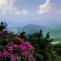 Teresa Laneave Photo 3