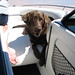 Carol Powell Photo 5