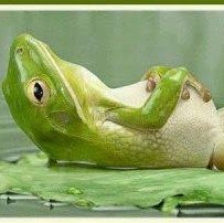 Cheryl Johnston Photo 34