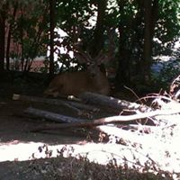 Chad Epperson Photo 5