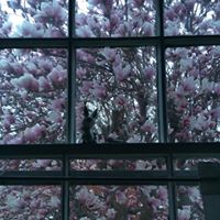 Cindy Slusher Photo 14