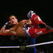 Shawn Michaels Photo 11