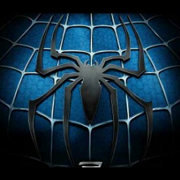 David Llewelyn Photo 27