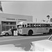 Dorothy Chambers Photo 31