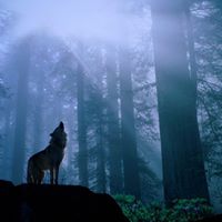 Kristina Starr Photo 8