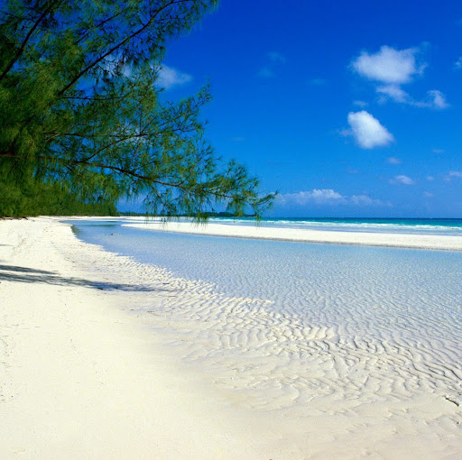 David Basham Photo 19