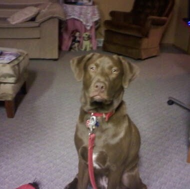 Frank Little Photo 14