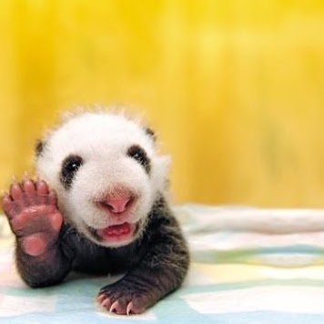 Ingrid Walker Photo 13