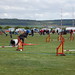 Diane Beck Photo 9