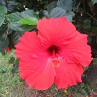 Mary Needham Photo 13