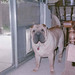 Dawn Smith Photo 21