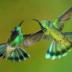 Angela Salazar Photo 26