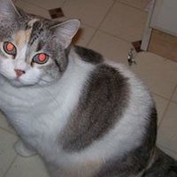 Judy Coffman Photo 9