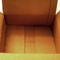 Matthew Ostrowski Photo 37