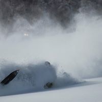 Darryl Robbins Photo 18