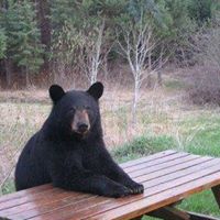 Joseph Killian Photo 15