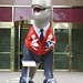 Roger Sharp Photo 16