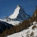 Charles Wallis Photo 22