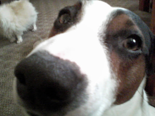 Dennis Swartz Photo 35