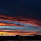 Tracy Appleby Photo 20