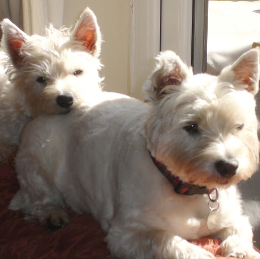 Victoria Garrett Photo 32