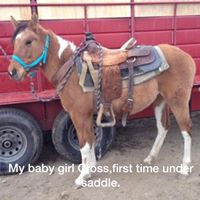 Michele Donovan Photo 33