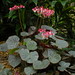 April Bloom Photo 13