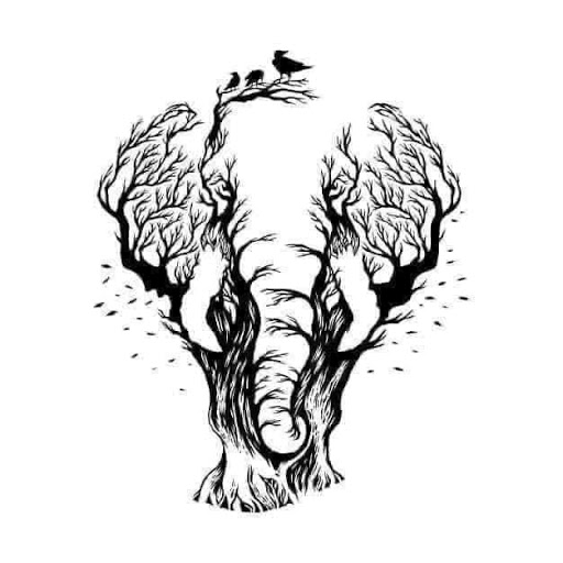 Ashley Driver Photo 4